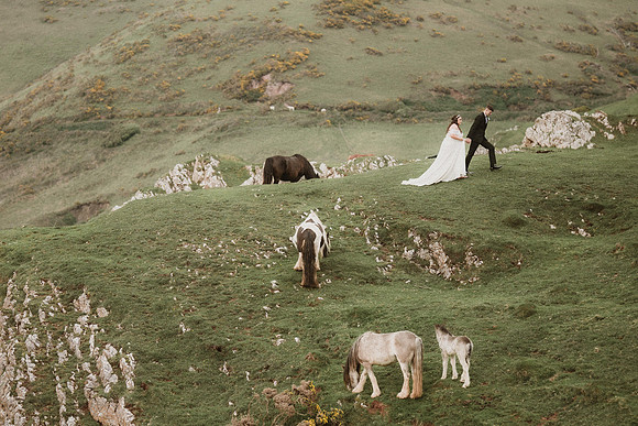 Gower Wedding Photographer