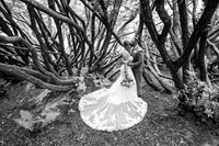 Craig Y Nos Castle Wedding Photographer