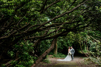 Craig Y Nos Castle Wedding Photographer