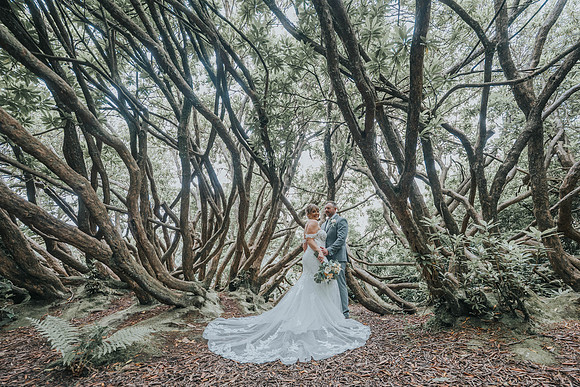 Craig Y Nos Castle Wedding Photographer