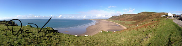 The worms head