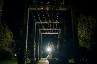 Gower wedding photographer