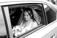 Gower wedding photographer