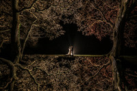 Lucy and Aaron Wedding