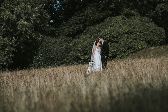 Plas Dinam Country House wedding