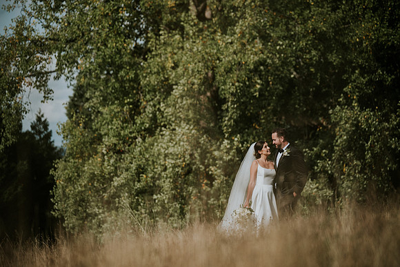 Plas Dinam Country House wedding