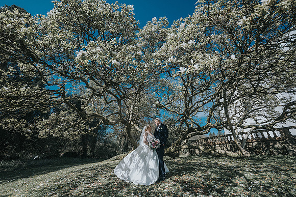 wedding photography Court Colman Manor