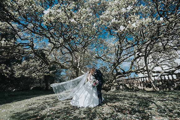 wedding photography Court Colman Manor