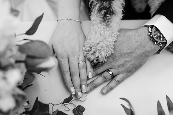 wedding photography Court Colman Manor