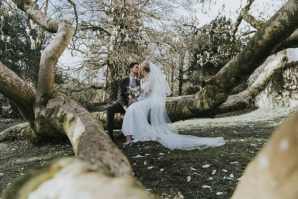 wedding photography Court Colman Manor