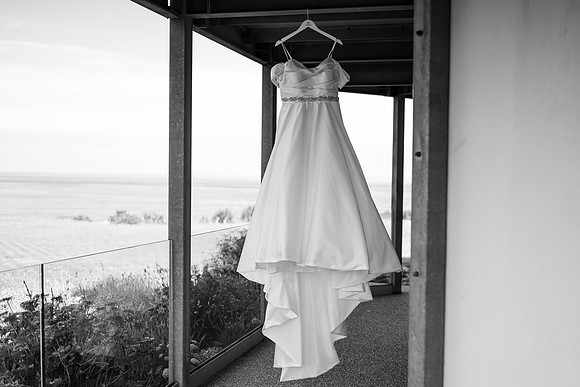 Cardigan wedding photographer