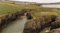 Cardigan wedding photographer