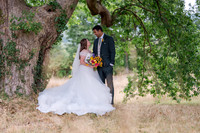 Claire and Hari at their Plas Dinam Country House wedding