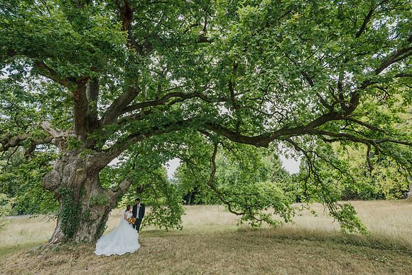 Claire and Hari at their Plas Dinam Country House wedding