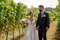 Keiron and Ellie Llanerch Vineyard