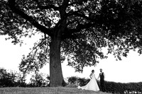 Keiron and Ellie Llanerch Vineyard