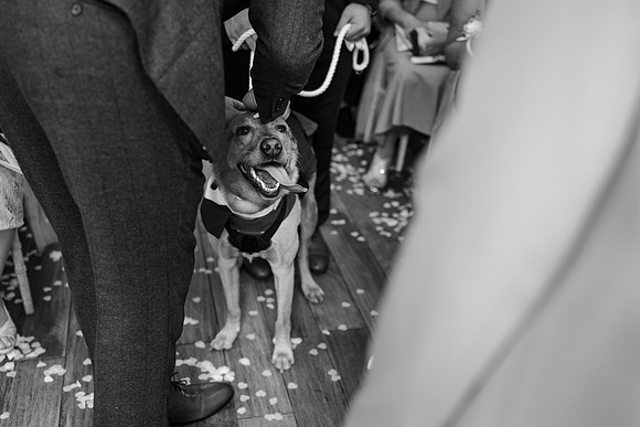 wedding photography Bryngarw House