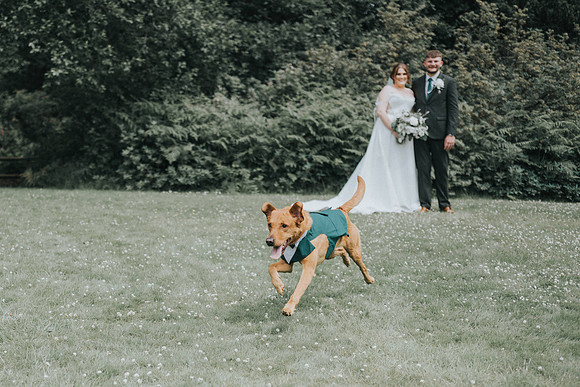 wedding photography Bryngarw House