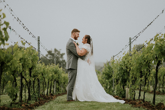 Llanerch Vineyard Hotel wedding
