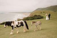 King Arthur's Wedding in the Gower