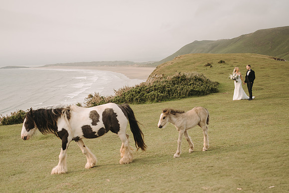 King Arthur's Wedding in the Gower
