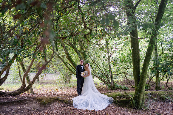 online wedding photo gallery for guests