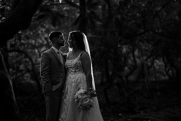 Bryngarw Country Park wedding