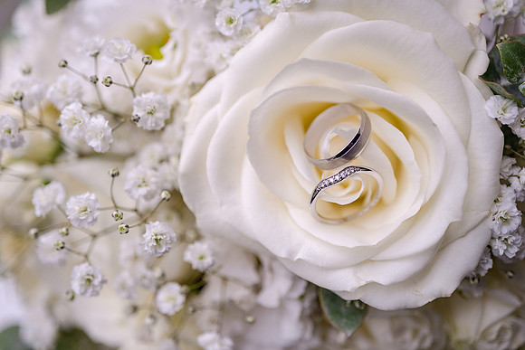 Bryngarw Country Park wedding
