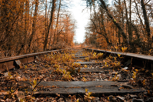 Railway in the country