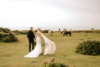King Arthur's Wedding in the Gower