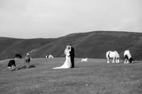 King Arthur's Wedding in the Gower
