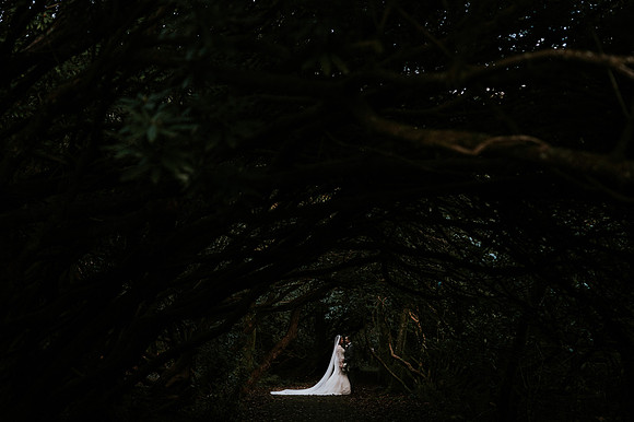 craig y nos castle wedding