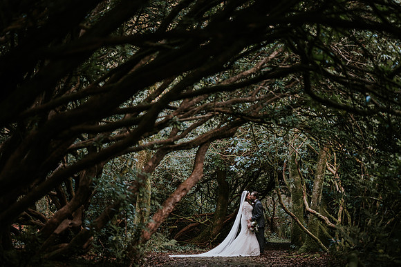 craig y nos castle weddings