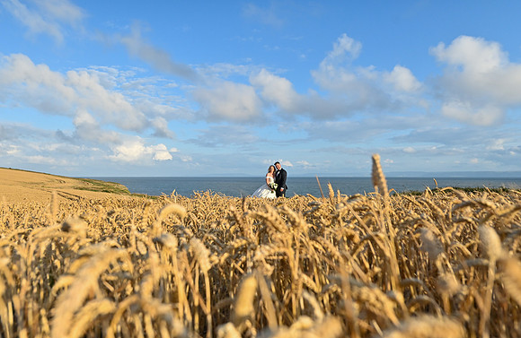 oldwalls gower weddings