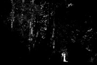 Fairyhill Wedding Photographer in the Gower