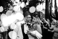 Fairyhill Wedding Photographer in the Gower