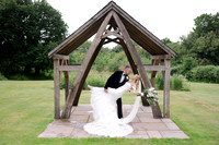King Arthur's Wedding in the Gower