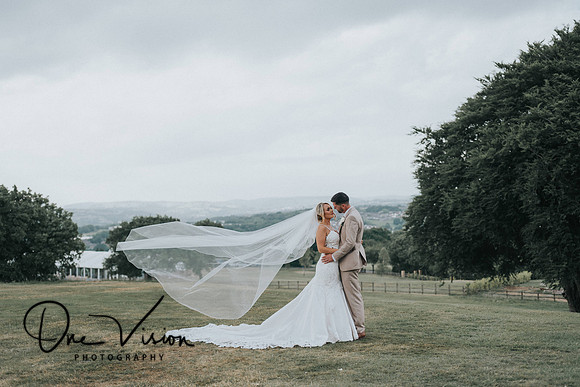 Bryn Meadows wedding photographer