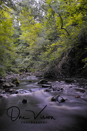 Trees and waterfalls