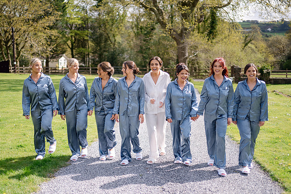 Plas Y Rhosyn Wedding Photographer