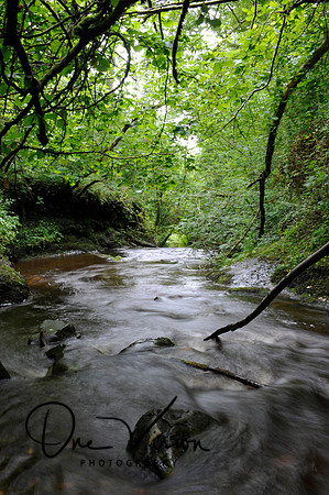 Water fall