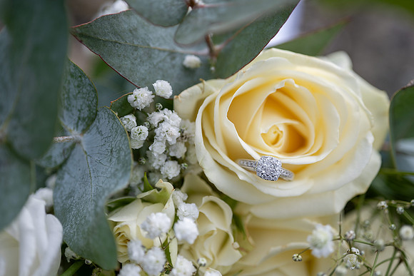 Plas Y Rhosyn Wedding Photographer