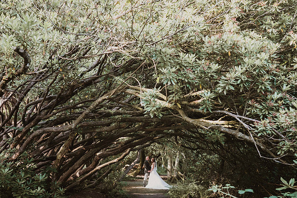 craig y nos castle wedding 2025