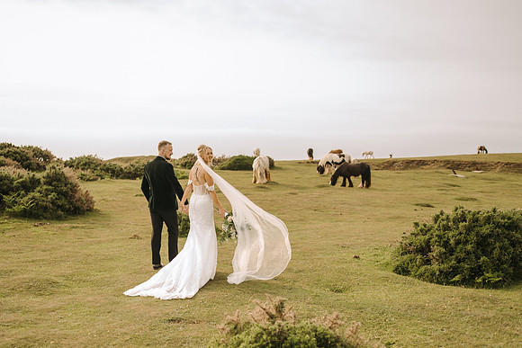 King Arthur's Wedding in the Gower