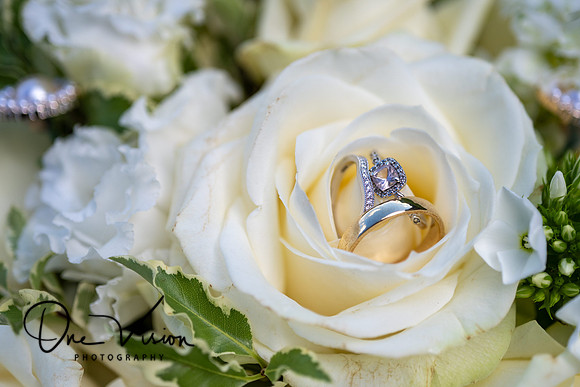 Bryn Meadows wedding photographer