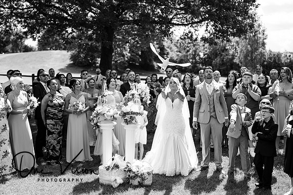 Bryn Meadows wedding photographer